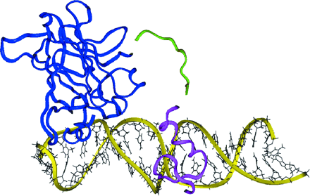 Figure 3.