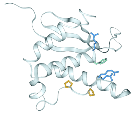 Figure 5.