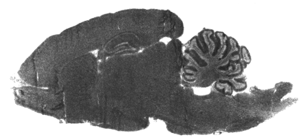 Figure 8.