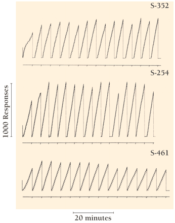 Figure 4: