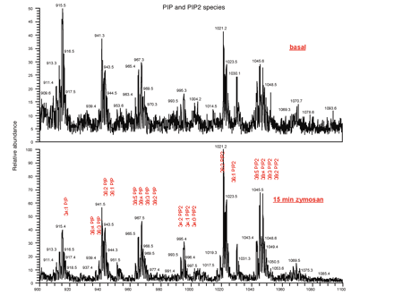 Figure 7.