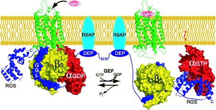 Figure 5.
