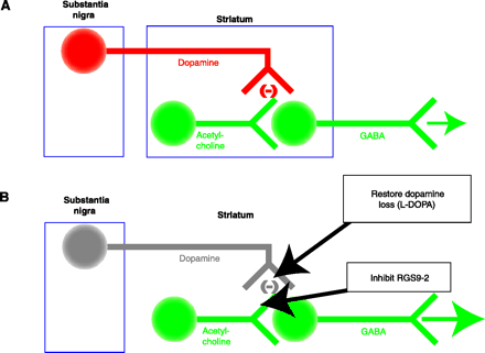 Figure 7.