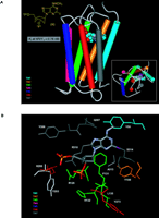 Figure 4.