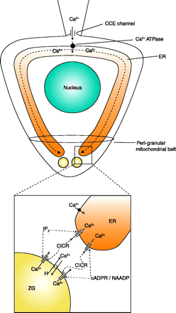Figure 9.