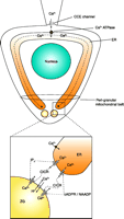 Figure 9.