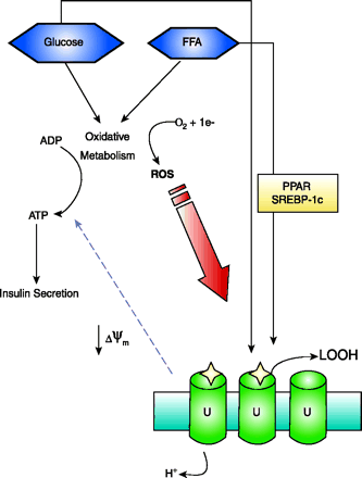 Figure 7.