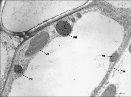 Figure 2.