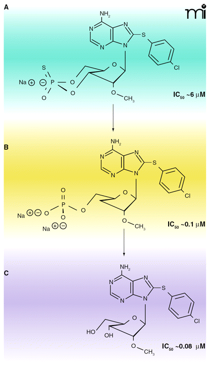 Figure 5.