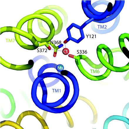 Figure 1.